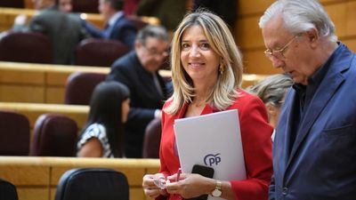 El PP presenta un libro con sus logros en el Senado: dilatar la amnistía, la comisión Koldo y contrapeso al Gobierno