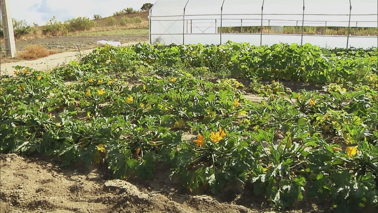 Madrid mejora tu vida 20.07.2024