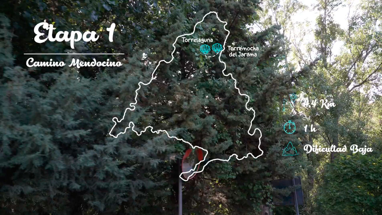 Camino Mendocino de Santiago, etapa 1: Torremocha - Torrelaguna