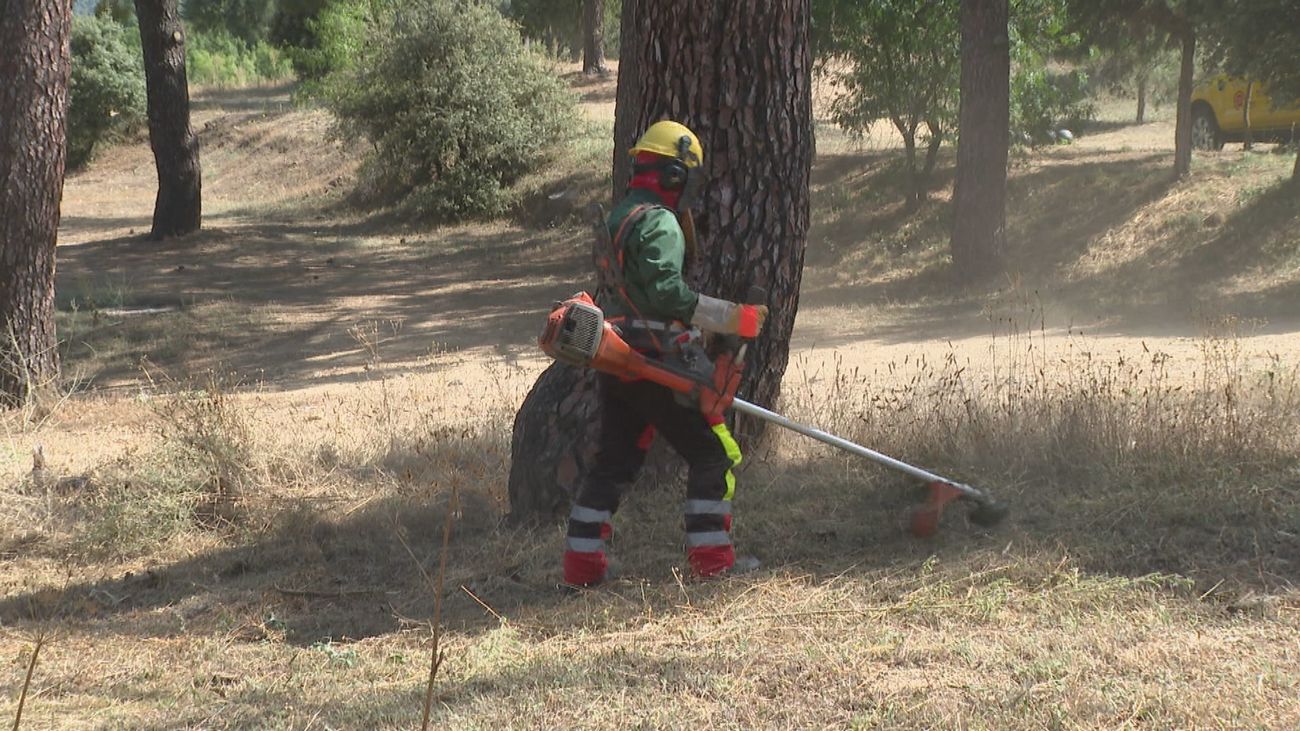 La Comunidad desbroza el monte de Robledo de Chavela como medida de prevención