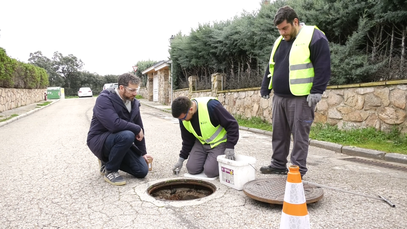 Trabajadores revisan las alcantarillas de Galapagar contra la presencia de roedores