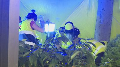 Un hombre herido grave por un malentendido a la salida del concierto de Karol G