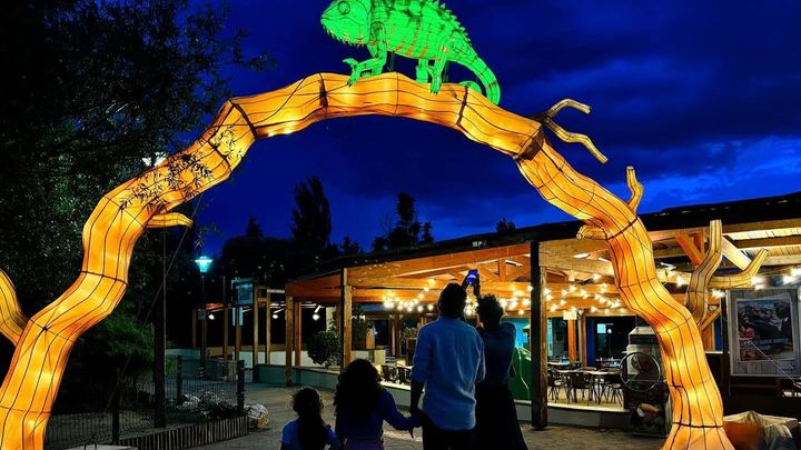 Brilla Faunia / Faunia