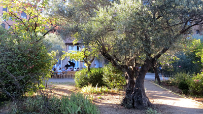 Arranca la temporada de conciertos nocturnos en la Fundación Olivar de Castillejo