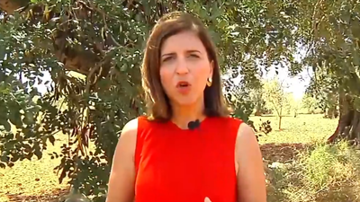 El PSOE tilda a Trump de "machista y mentiroso" y lo equipara al PP, Vox y Alvise