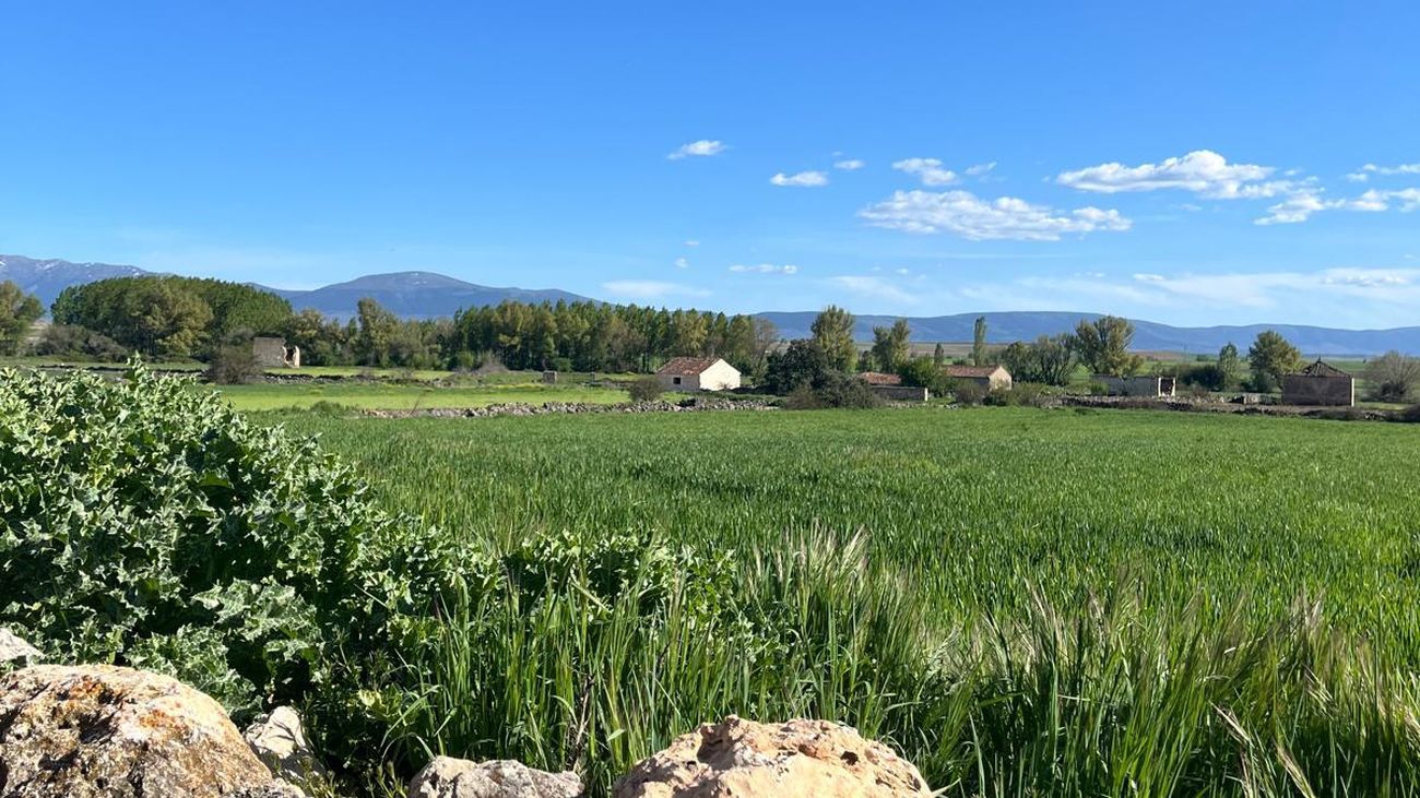 Me voy al pueblo: El verano llena la España despoblada