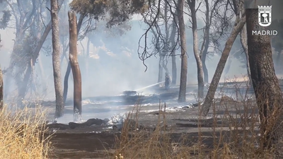 Arden 4 hectáreas de un pinar próximo a la Avenida de los Poblados, en Latina