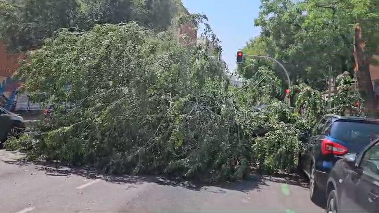 La lluvia provocó demoras en Metro y Cercanías y el viento caídas de ramas en Madrid este viernes