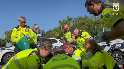 Muere la mujer de 66 años que fue atropellada en un paso de cebra en Vallecas