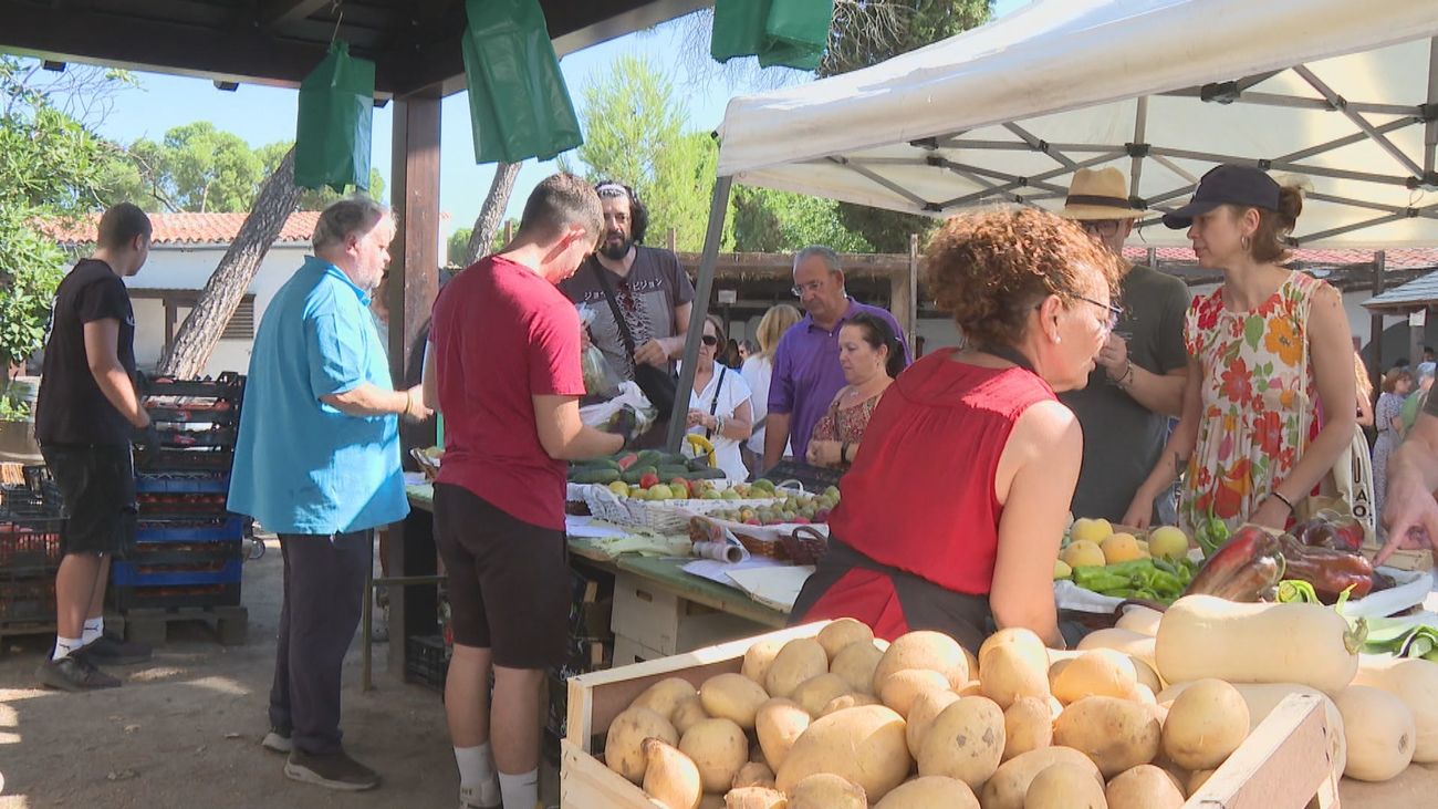La huerta de Madrid llega a la capital con el Día del Mercado de la Cámara Agraria
