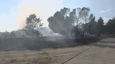 Extinguido un incendio forestal en Cuatro Vientos