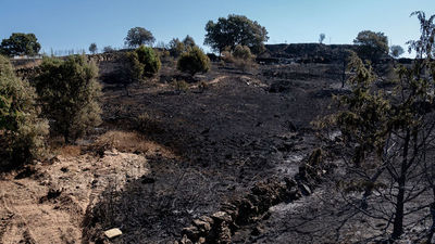 Riesgo extremo de incendios y aviso amarillo por altas temperaturas durante toda la semana