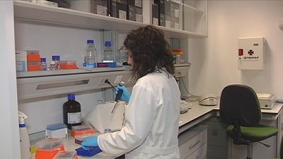 Andalucía activa el protocolo por un posible caso  de fiebre hemorrágica Crimea-Congo en Sevilla