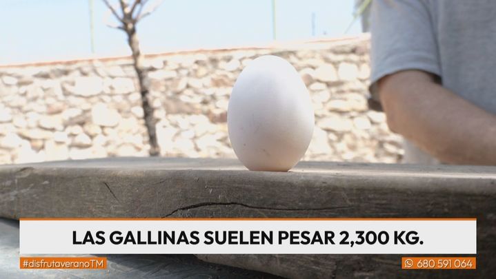 (11-08) Disfruta-Madrid (BACKUP) - P10000570C0257HDP0_52780 / REDACCION