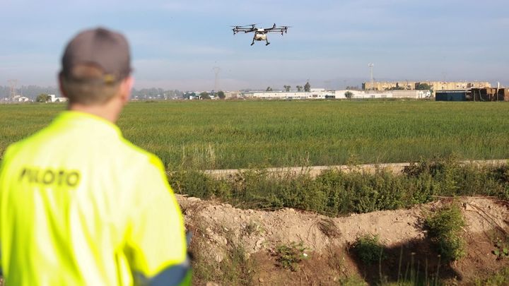 Un dron interviene en la campaña para el tratamiento contra los mosquitos que propagan el Virus del Nilo Occidental (VNO) sobre un arrozal / EUROPA PRESS