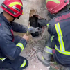 Así ha sido el laborioso rescate de un gato por los bomberos de Madrid en Villaviciosa de Odón