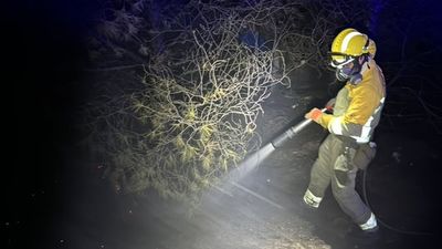 Controlado el incendio de Rivas Vaciamadrid,  que quemó 11 hectáreas y obligó a desalojos