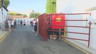 Muere un hombre corneado por un toro en El Casar (Guadalajara)