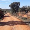 Madrid arregla casi 90 kilómetros de caminos rurales de 17 municipios pequeños