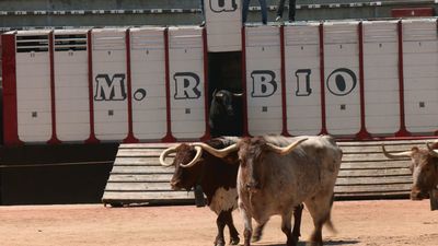 ¿En qué consiste el desencajonamiento taurino?
