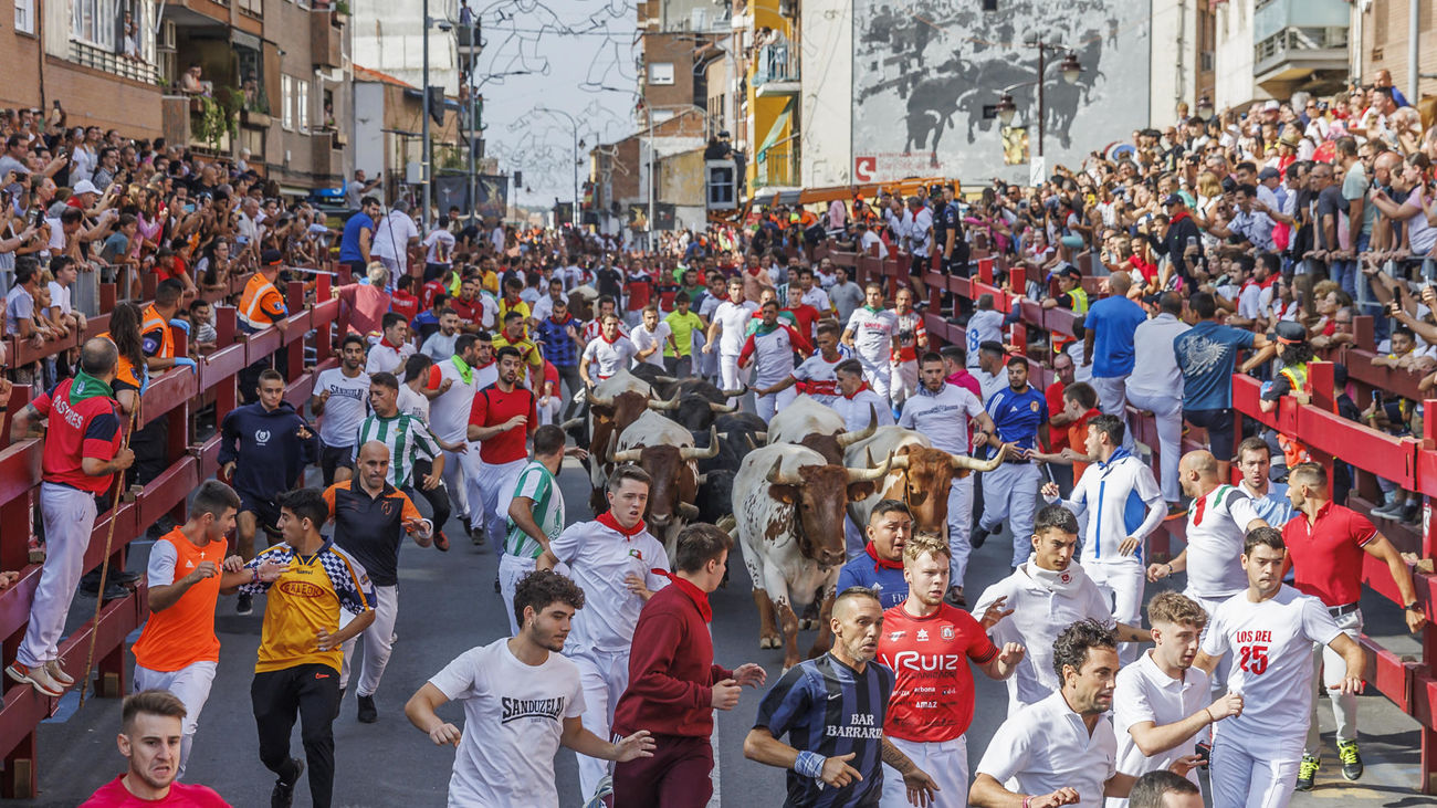 Un momento del séptimo encierro matutino de San Sebastián de los Reyes