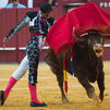 El BOE publica la supresión del Premio Nacional de Tauromaquia