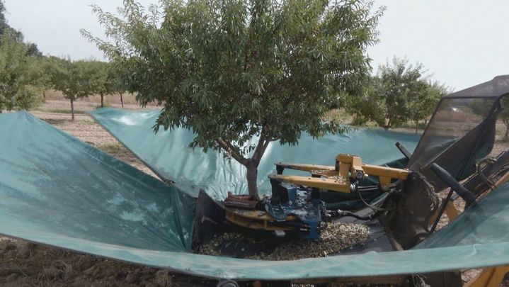 (08-09) Disfruta-Madrid (LIMPIA) - P10000570C0265HDP0_94012 / REDACCION