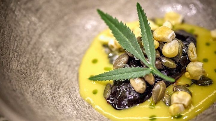 Ingredientes naturales y de proximidad son la base de la cocina de El Invernadero / RODRIGO DE LA CALLE / EL INVERNADERO