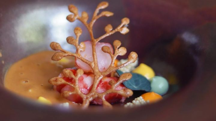 Carabinero y su jugo, curry verde y vinagreta de mango del restaurante Club Allard / CLUB ALLARD