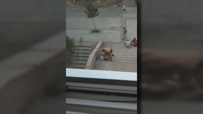 Vecinos de San Blas denuncian el incremento de la inseguridad en el entorno del parque Paraíso