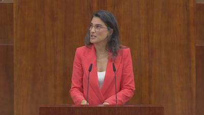 Bergerot reclama para Madrid "10.000 viviendas en alquiler a 600 euros"