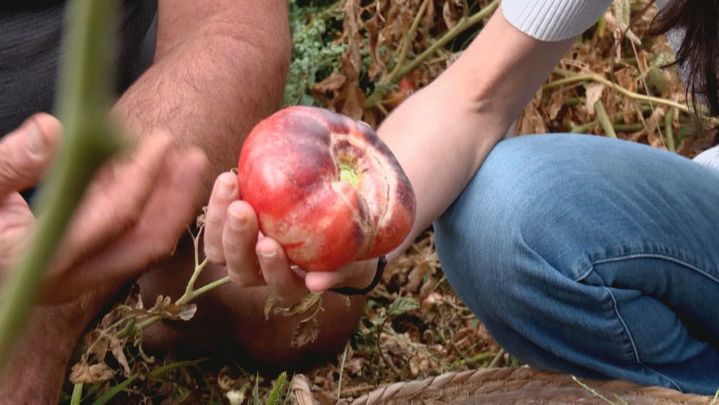 (14-09) Disfruta-Madrid (LIMPIA) - P10000570C0266HDP0_45657 / REDACCION