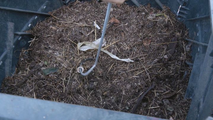 Avicompostaje / REDACCION