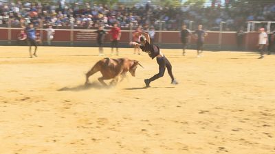 Encierro, toreo de salón y novillada en las fiestas de Galapagar