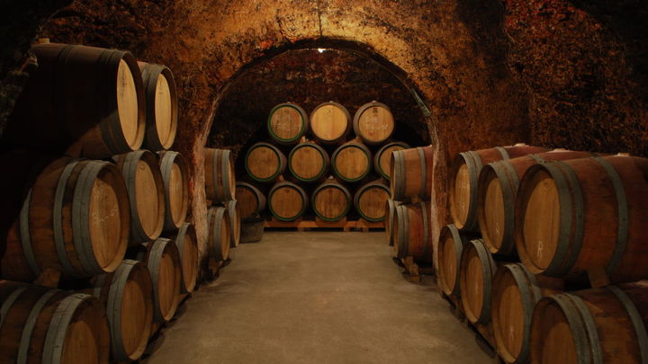 Unas bodegas referencia del enoturismo