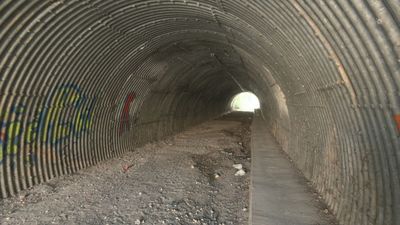 El túnel del terror en Móstoles: "Me da miedo pasar por aquí"