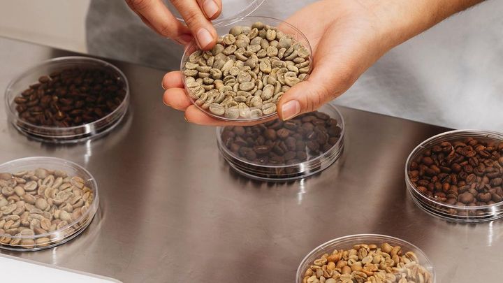 Variedades de café de especialidad / Instagram @nomadcoffee