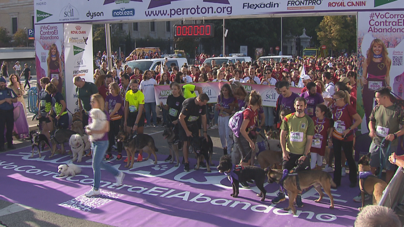 Vuelve la carrera solidaria para perros, 'Perrotón'