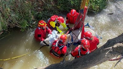 Imágenes del angustioso rescate de una yegua que cayó a una acequia en Alcalá de Henares