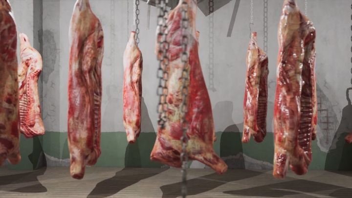 matadero / REDACCION