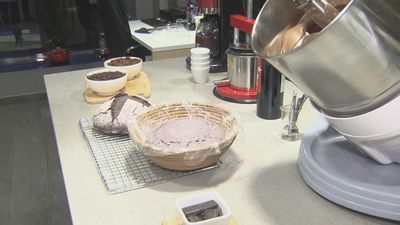 Investigadores de la Comunidad de Madrid crean 20 nuevos alimentos a partir de restos de comida