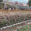 Alcobendas recupera el cauce y las riberas del arroyo de la Vega