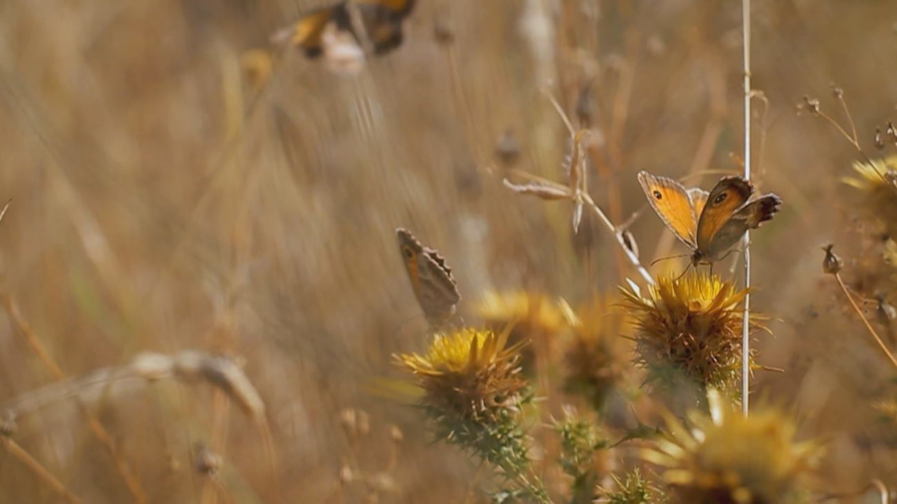 Aquí se hace 07.10.2024