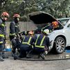 El laborioso rescate de una gata atrapada en el motor de un coche en Boadilla