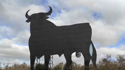 Derriban el toro de Osborne en Tudela, el único de Navarra