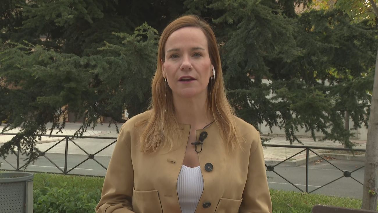 La nueva portavoz de Vox en la Asamblea, sobre el adiós de Monasterio: "Es una cuestión de regeneración"