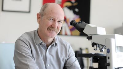 Rafael Yuste: "La inteligencia artificial no puede sustituir a la inteligencia humana"