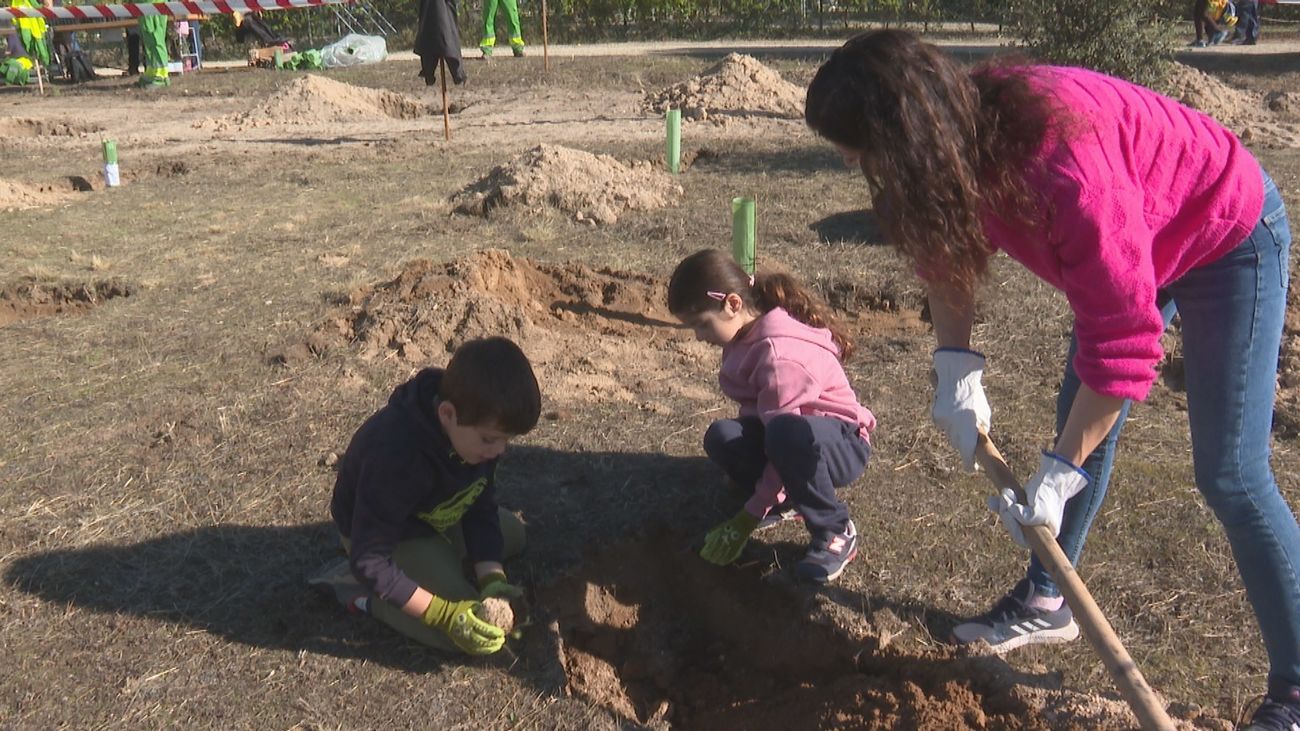 Las familias de Las Rozas salen a plantar en La Talaverona