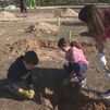 Las familias de Las Rozas salen a plantar en La Talaverona