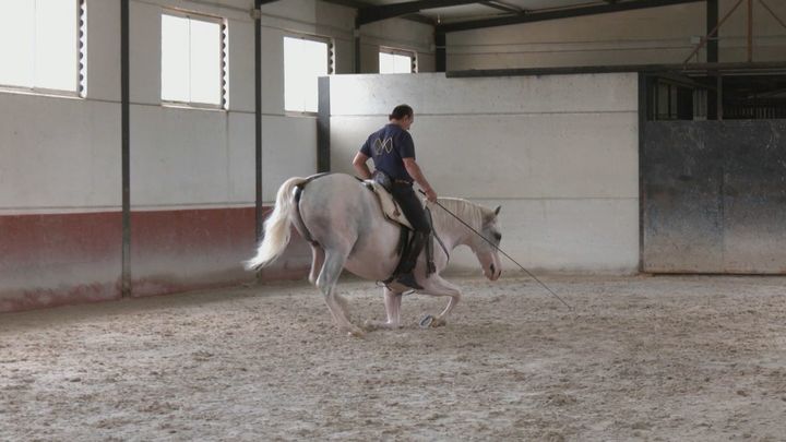 Caballos de cine / REDACCION